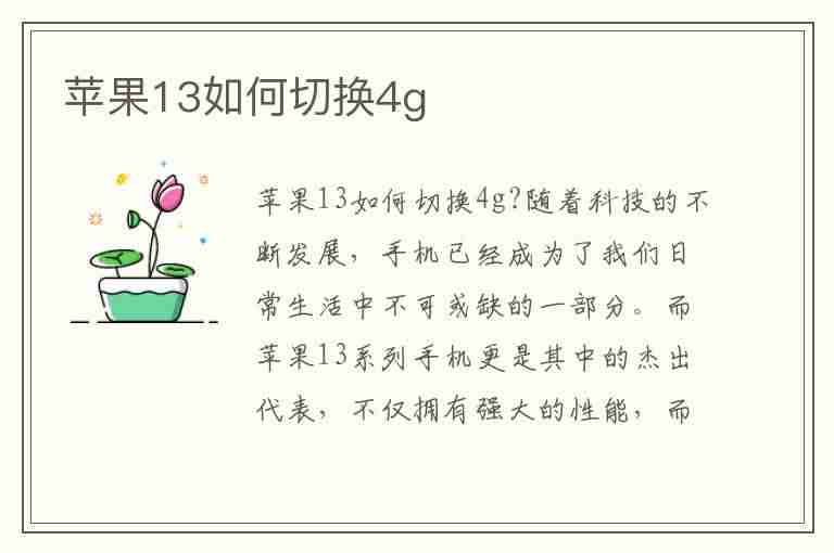 苹果13如何切换4g(苹果13如何切换4g和5g)